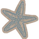starfishb