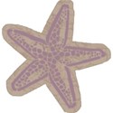 starfishpink