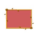 orange 3
