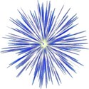 BD_Patriot1_07