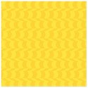 PP6