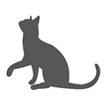cat 1