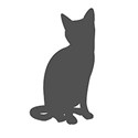 cat 2