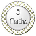 5 months