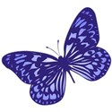 butterfly 4