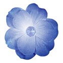 flower 3