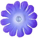 flower 5