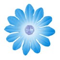 flower 7
