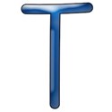 t1