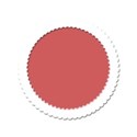 scallop white