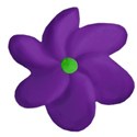 purple flower 3