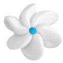 white flower 2