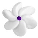 white flower 3