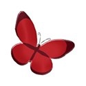 butterfly2