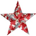 star1