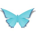 butterfly1sh