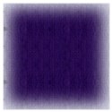 PP3