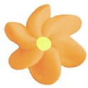 orange flower 3