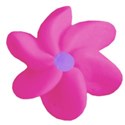pink flower 4