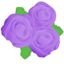 rose grouping purple