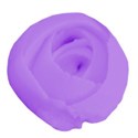 rose purple 2