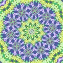 Image21