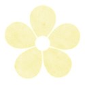 flower yellow