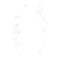 white 0