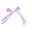 purple bow