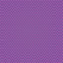 BG 08