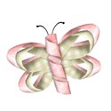 jThompson_gentle_butterfly2
