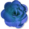 blue flower