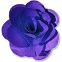 purple flower