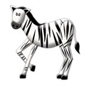 zebra