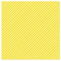 PP3