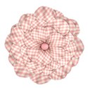 jThompson_gentle-flower1