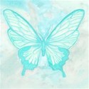 Butterfly1