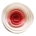 KIT_funandstriper_paperflowersh