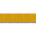 Row of Pencils
