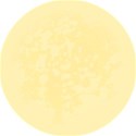 1 (8)