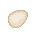egg-sh
