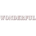 wonderful