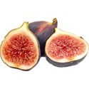 fig