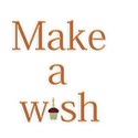 make a wish worart