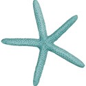 Teal Starfish