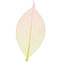 SChua_UpUpAway_Element_leaf1