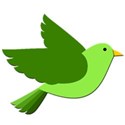 bird green