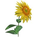 sparkle sunflower 1