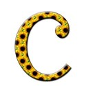 c1