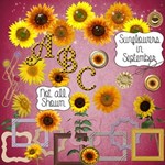 Sunflowers in September + Alpha Sunflowers in September + Alpha